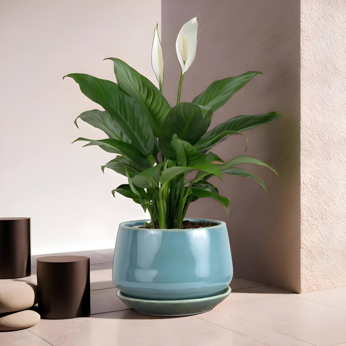 Ceramic Adda's Modern Planter - Height 12cm: Stylish Planter