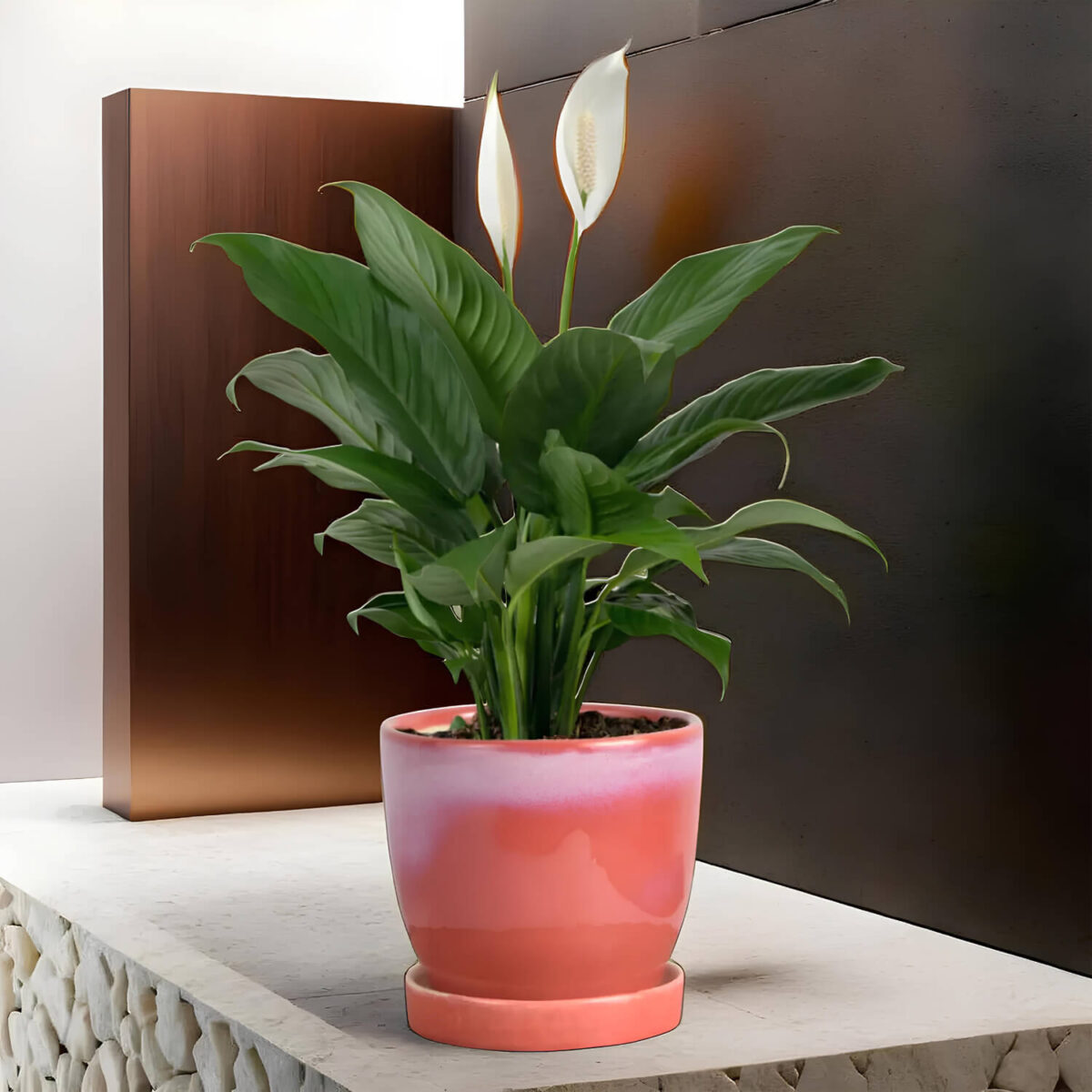 Ceramic Adda's Modern Planter - Height 11cm: Contemporary Elegance