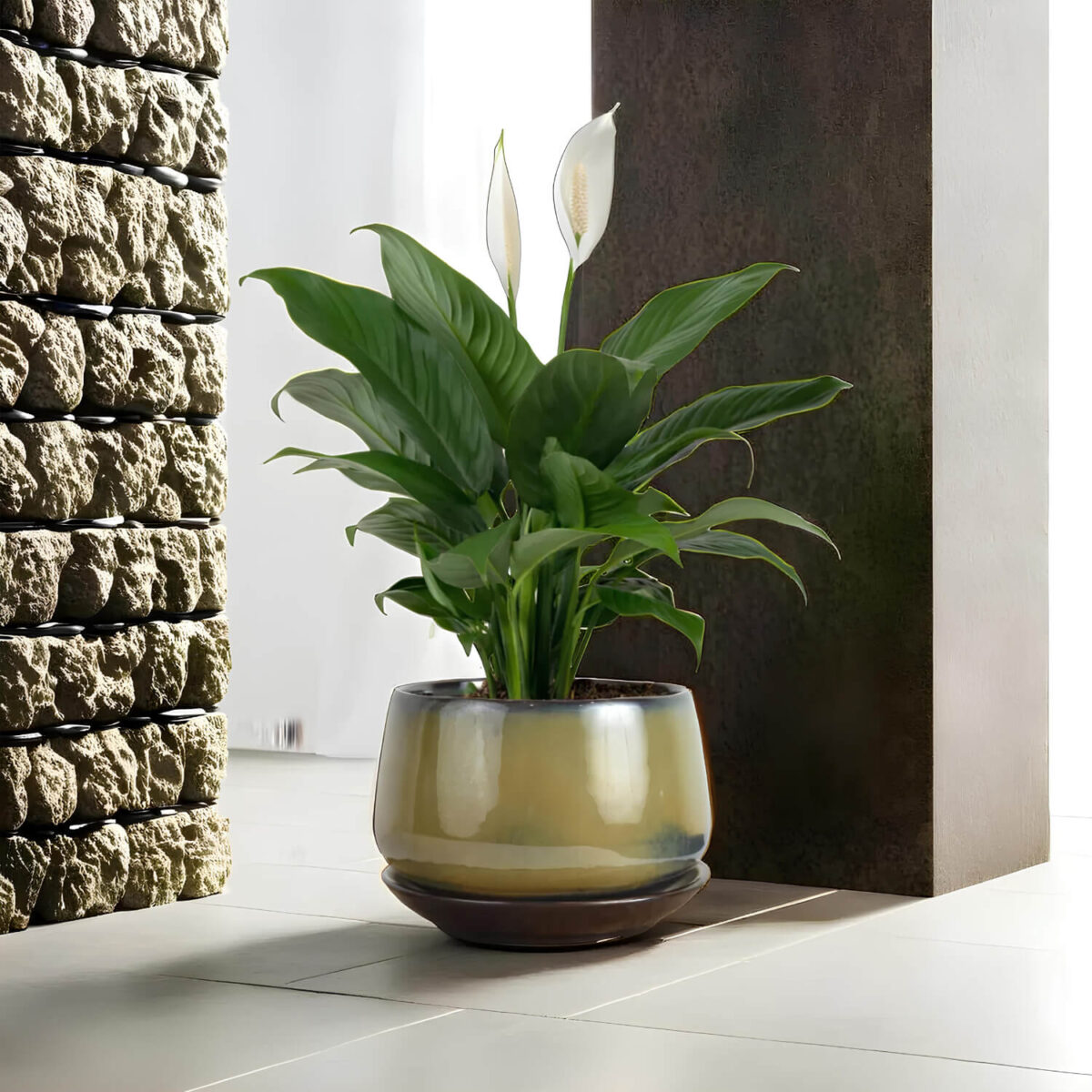 Ceramic Adda's Modern Planter - Height 12cm: Stylish Planter