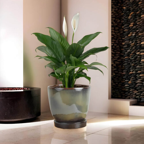 Ceramic Adda's Modern Planter - Height 11cm: Contemporary Elegance