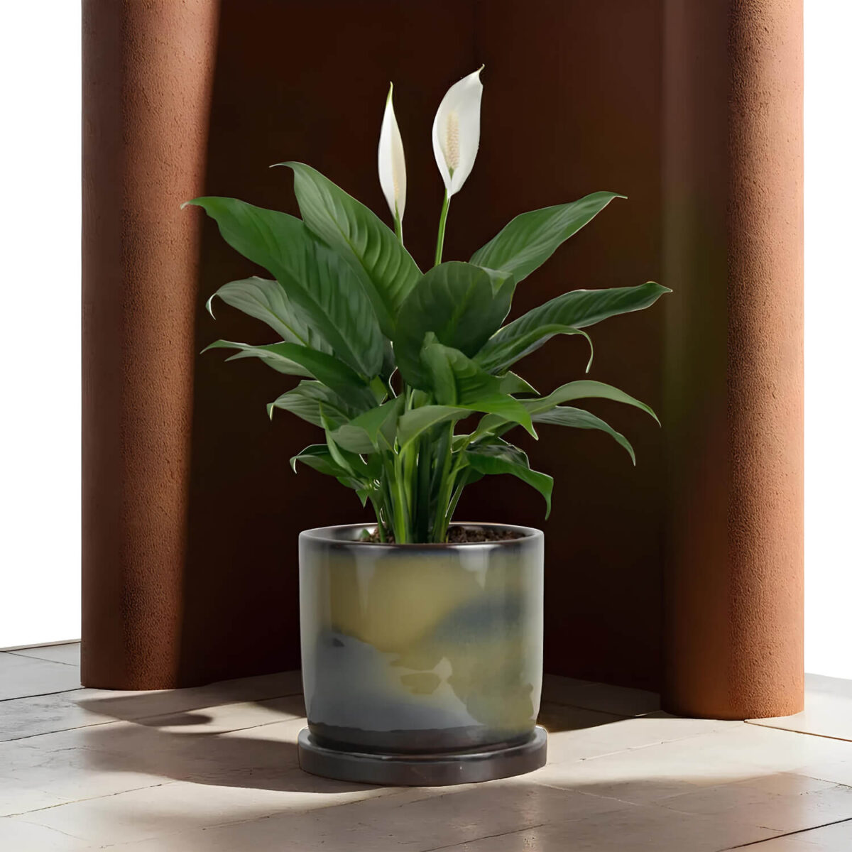 Ceramic Adda's Modern Planter - Sleek Indoor Greenery Accent - Height 12cm